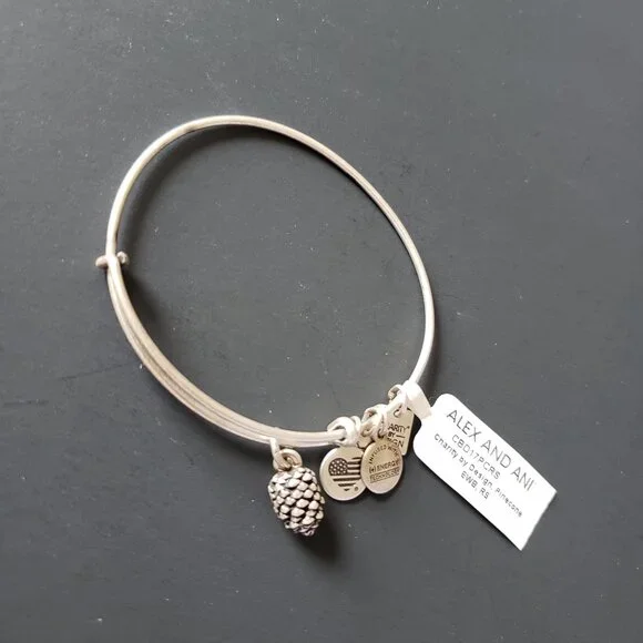 Alex and Ani NWT Silver Tone Pinecone Bracelet 647 - Picture 5 of 6